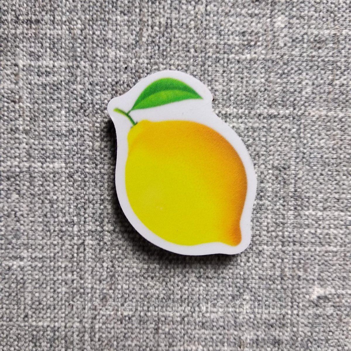 Лимон. Магнит обучающий, фото 1