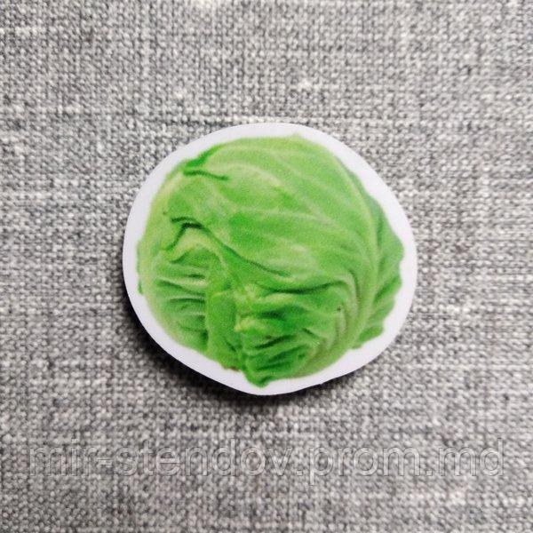 Капуста. Магнит обучающий, фото 1