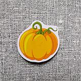 Тыква. Магнит обучающий, фото 2