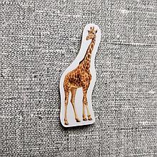 Жираф. Магнит обучающий