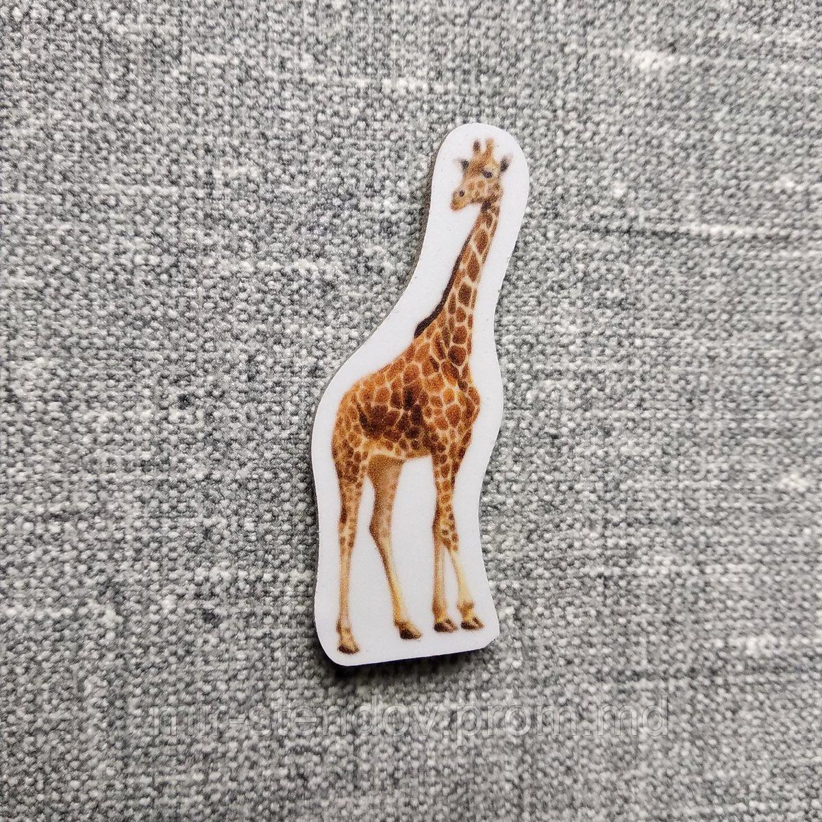 Жираф. Магнит обучающий, фото 1
