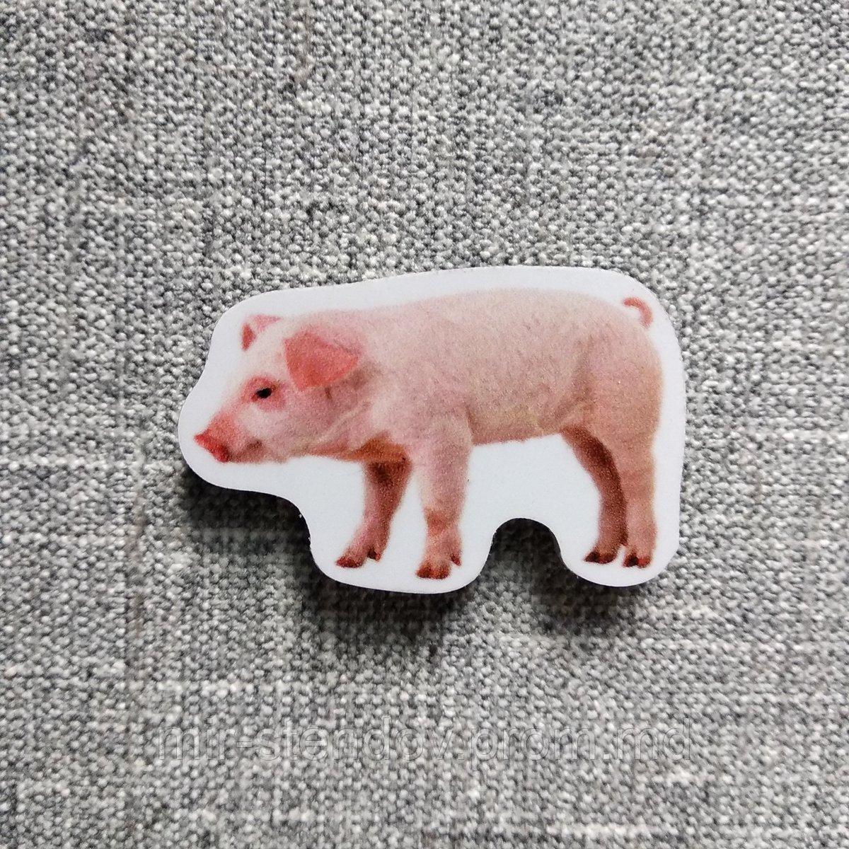 Поросёнок. Магнит обучающий, фото 1