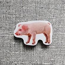 Поросёнок. Магнит обучающий