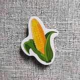 Кукуруза. Магнит обучающий, фото 2