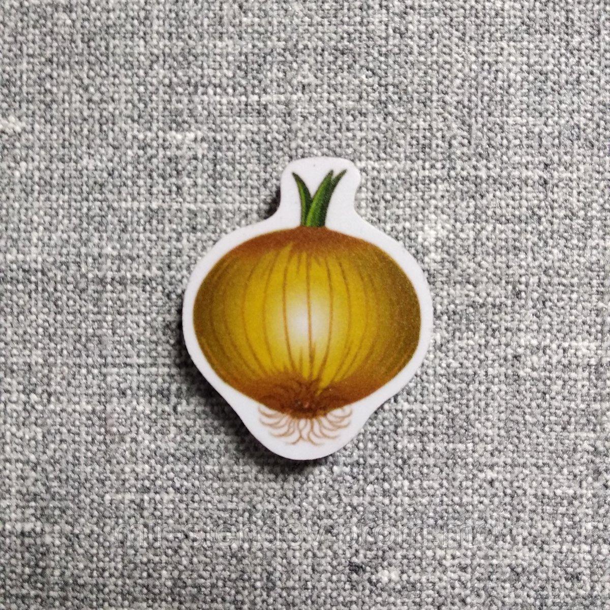 Лук. Магнит обучающий, фото 1