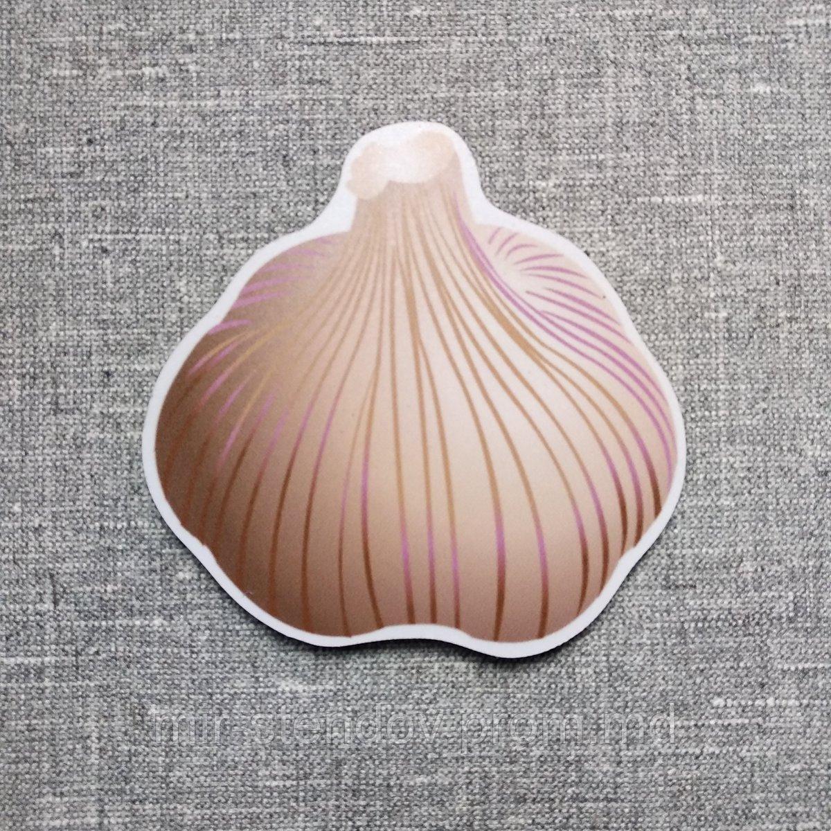 Чеснок. Магнит обучающий, фото 1