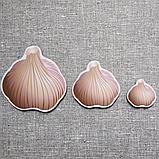 Чеснок. Магнит обучающий, фото 3