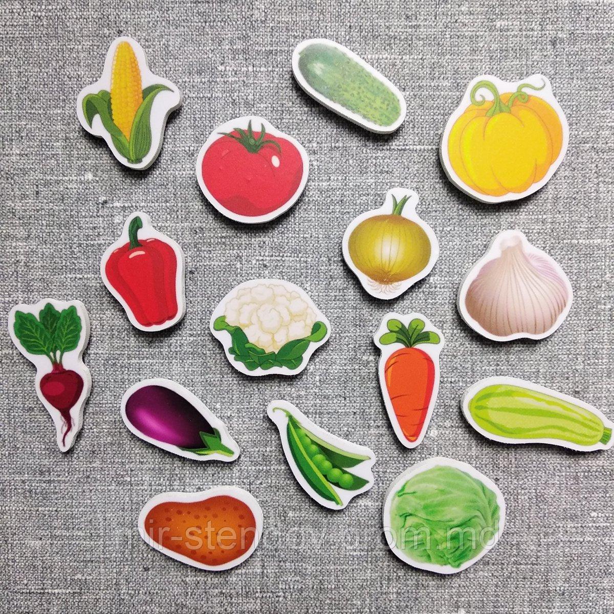Овощи. Магнитики развивающие. Набор, фото 1