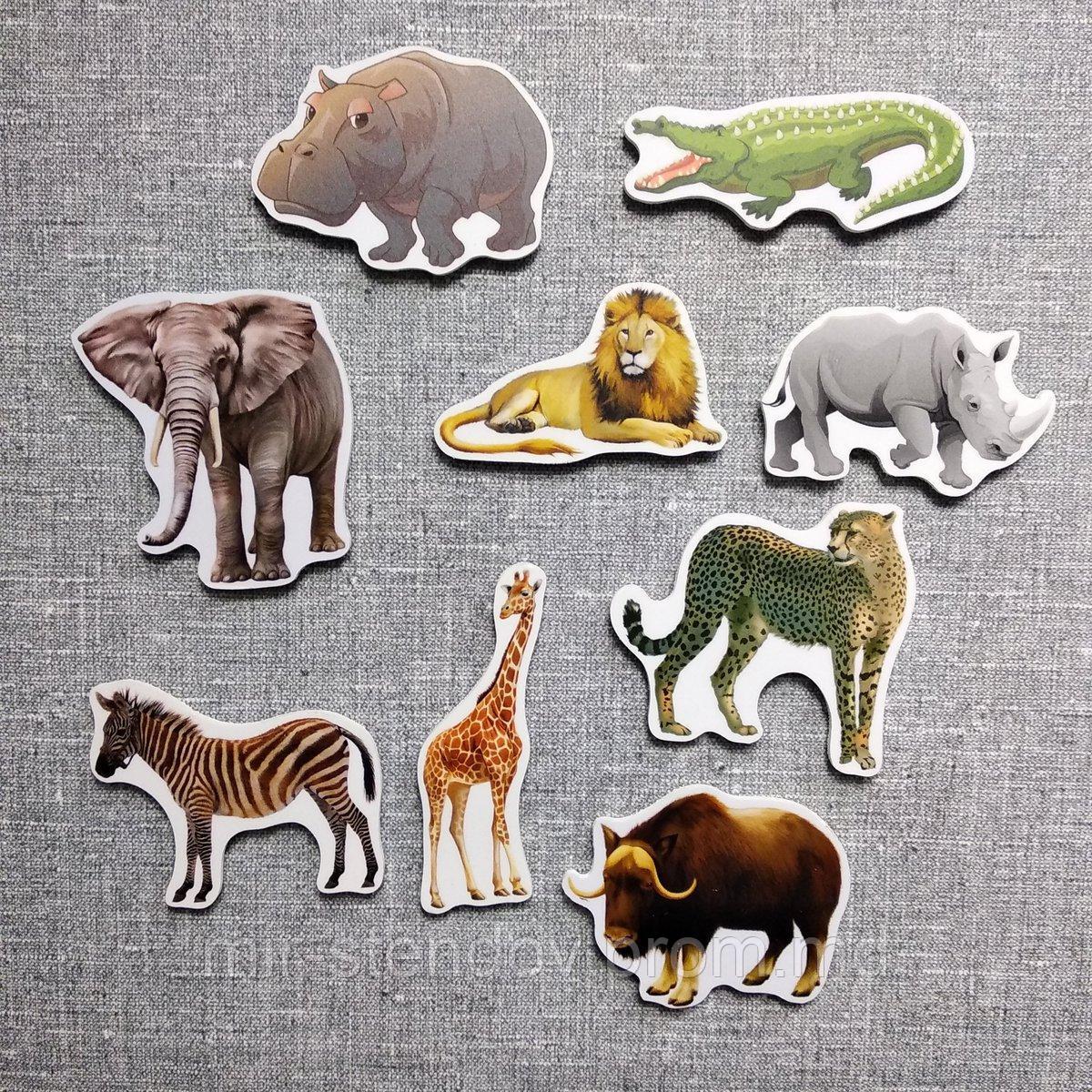 Африканские животные. Магнитики развивающие. Набор, фото 1