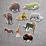 Африканские животные. Магнитики развивающие. Набор, фото 2