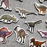 Динозавры. Магнитики развивающие. Набор, фото 3