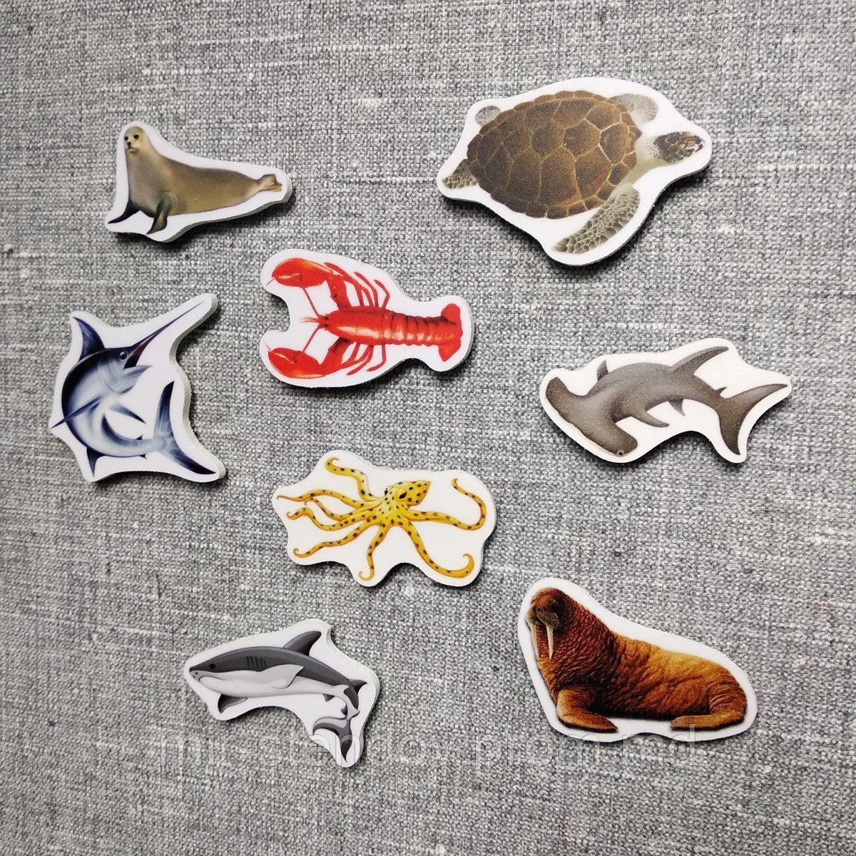 Морские обитатели. Магнитики развивающие. Набор, фото 1