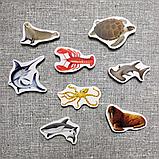 Морские обитатели. Магнитики развивающие. Набор, фото 2