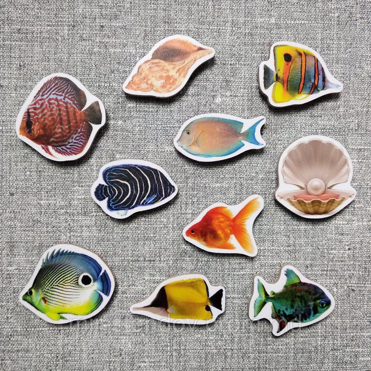 Аквариумные рыбки. Магнитики развивающие. Набор, фото 1