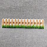 Набор больших магнитов для Логопеда, фото 5