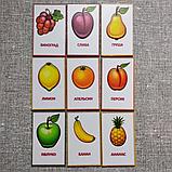Набор обучающих магнитов Фрукты, фото 2