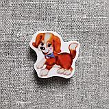 Магнитики обучающие Домашние животные, фото 9