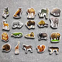 Дикие животные. Магнитики развивающие. Набор