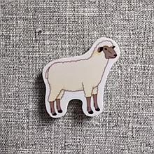 Вівця. Магніт навчальний