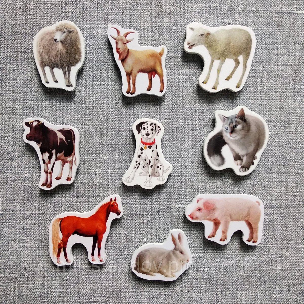 Домашние животные. Магнитики развивающие. Набор, фото 1