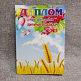Диплом для выпускника детского сада "Колосок" группа "Калинка", фото 4
