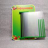 Стенд-книжка Клубничка, фото 2