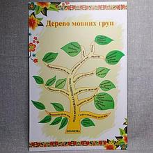 Дерево мовних груп. (Мир стендов)