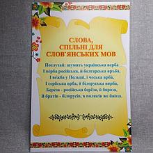 Слова словянских народов. Стенд