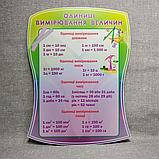 Стенд Единицы измерения, фото 2