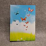 Диплом випускника "Лелека", фото 4