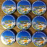 Значок Випускник. Ромашка, фото 8