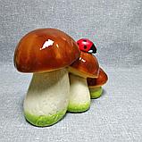 Садовая фигурка Белые грибы с Божьей коровкой, фото 6