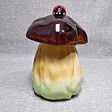 Садовая фигурка Один гриб с Божьей коровкой, фото 3