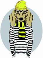 Картина по номерам "Stylish Dog"