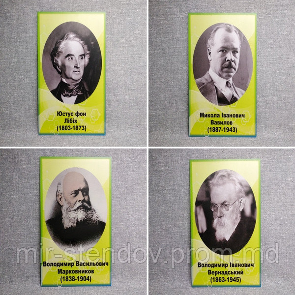 Набор портретов для кабинета химии. Юстус фон Либих, Вавилов М.И., Вернадский В.И., Марковников В.В., фото 1