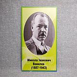 Набор портретов для кабинета химии. Юстус фон Либих, Вавилов М.И., Вернадский В.И., Марковников В.В., фото 3