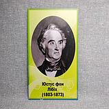 Набор портретов для кабинета химии. Юстус фон Либих, Вавилов М.И., Вернадский В.И., Марковников В.В., фото 5