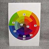 Картонный плакат "Цветовой круг для окрашивания волос"