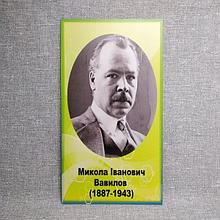 Вавилов Н. И. Портрет для кабинета химии