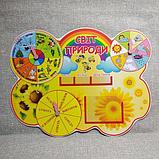 Календарь природы Подсолнух, фото 3