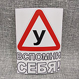 Наклейка на авто Ученик, фото 2