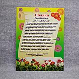 Подяка для співробітників дитячого садка з текстом. "Квіточка", фото 2