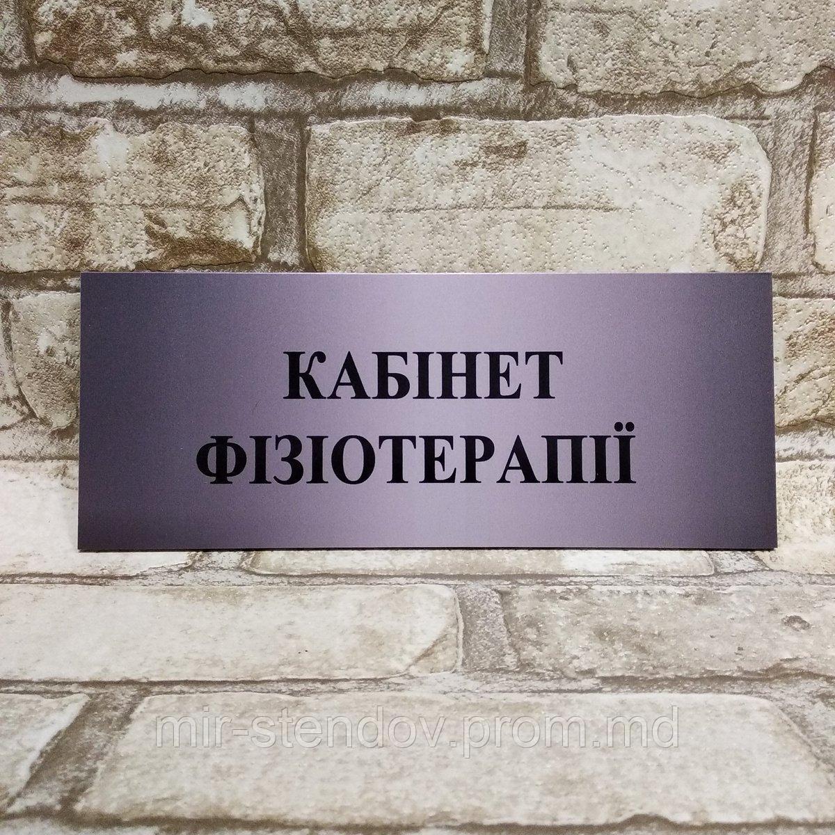 Табличка пластиковая "Кабинет физиотерапии", фото 1