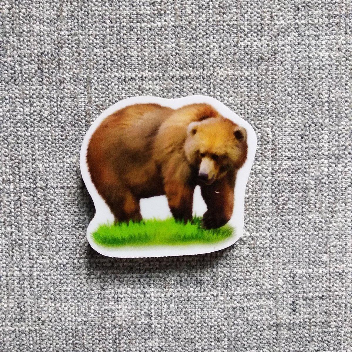 Медведь. Магнит обучающий, фото 1