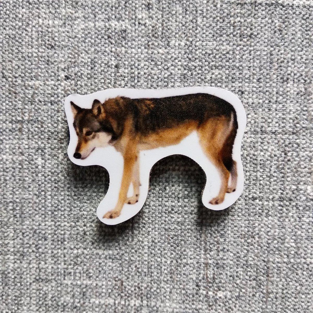 Волк. Магнит обучающий, фото 1