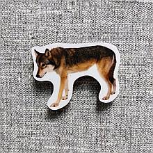 Волк. Магнит обучающий