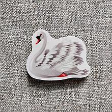 Лебедь. Магнит обучающий