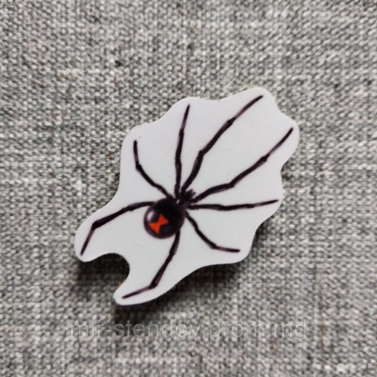 Паук. Магнит обучающий, фото 1