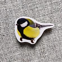 Синица. Магнит обучающий