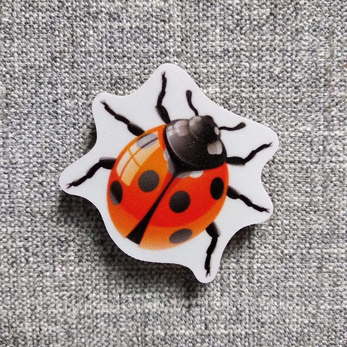 Божья коровка. Магнит обучающий, фото 1